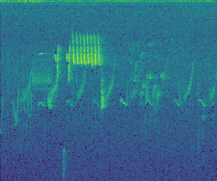 spectrogram-example-cropped.png